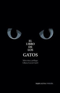 gatos1